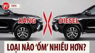 MÁY XĂNG - MÁY DẦU - P2 Động cơ nào lắm bệnh và tốn kém chi phí sửa chữa hơn?  TIPCAR TV