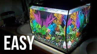 How to Set Up a Fish Tank Detailed Version