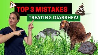 Top 3 Mistakes You May Be Making When Treating Cat & Dog Diarrhea  Holistic Vet Advice