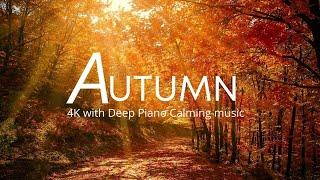 Autumn Nature Relaxation with soothing music for Deep Sleep  stress relief peaceful music