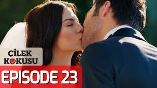 Strawberry Smell - Full Episode 23 English Subtitles  Cilek Kokusu