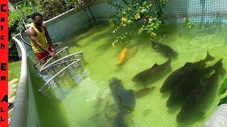 BUILDING GIANT FISH WALL of CHINA **Safety Upgrade in the Pool Pond**