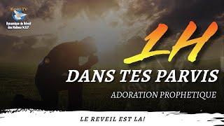 ADORATION PROPHÉTIQUE - 1H DANS TES PARVIS - DYNAMIQUE DE RÉVEIL FRANCE-29-07-24