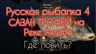 РР4. Где ловить Сазана ТРОФЕЙ на реке Ахтуба.