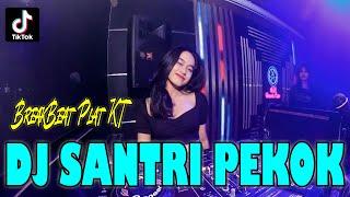 DJ VIRAL  SANTRI PEKOK REMIX