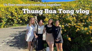 Thung Bua Tong Vlog  Check out the beautiful wild sunflowers field.