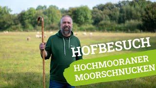 Hofbesuch Hochmooraner Moorschnucken