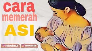 BELAJAR MEMERAH ASI BAGI IBU MENYUSUI