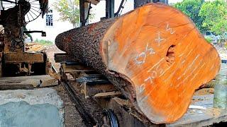 Sawing red mahogany logs into 3.5cm thick boards