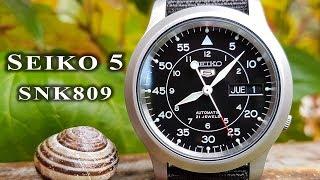 Seiko SNK809 automatic watch full review