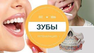 Здоровые зубы без стоматолога регенерация зубов - Роман Головин