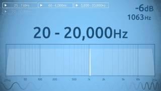 20 - 20000 Hz Audio Sweep  Range of Human Hearing