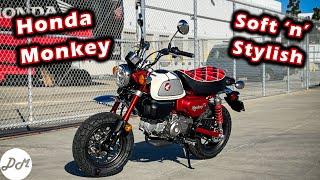 2023 Honda Monkey – DM Quick Ride Review