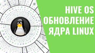 Обновление ядра Hive OS инструкция  Записки Майнера