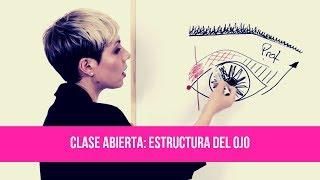 CLASE DE MAQUILLAJE PROFESIONAL ESTRUCTURA DEL OJO  TUMAKEUP