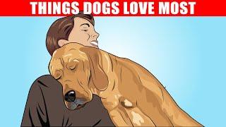 15 Things Dogs Love the Most