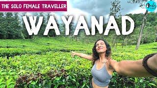 Wayanad - Travel Tips Adventure Sports & More  The Solo Female Traveller EP 10   Curly Tales