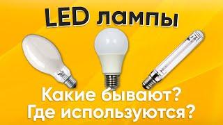 LED лампы. Где применяются? Типы ламп разновидности цоколей цветовая температура ламп.