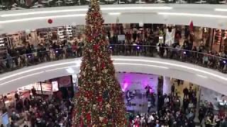 dana mall открытие ёлки 2018