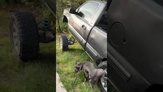 My dog isn’t getting a treat after this  … Squatted truck problem