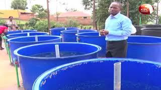 Fish farmers advised to adopt innovative technology