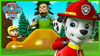 Marshall saves campers covered in sticky syrup and more - PAW Patrol Episode - Cartoons for Kids