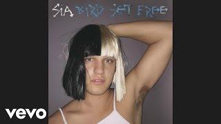 Sia - Bird Set Free Audio