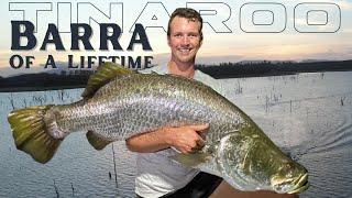 Tinaroo Barra -  the BIG ONE 129cm Monster