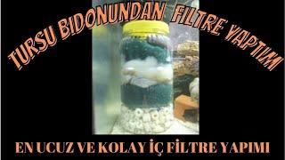 Akvaryum Balık İç Filtre Yapımı Nasıl Olur? Dıy Filtre Nasıl Yapılır