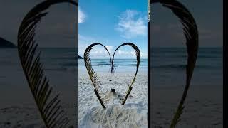 A Heart Shaped Made From Palm Leaves For Photo Shots Background  love beach  Whatsapp Staus