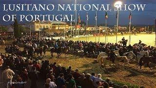 THE NATIONAL LUSITANO SHOW •  GOLEGA PORTUGAL