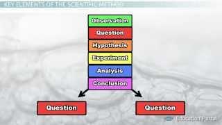 The Scientific Method Steps Terms and Examples