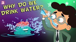 Why Do We Drink Water?  Importance Of Water  Stay Hydrated  The Dr Binocs Show  Peekaboo Kidz