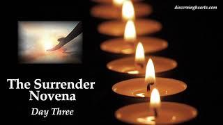 Surrender Prayer Novena - Day 3  - Discerning Hearts Podcast