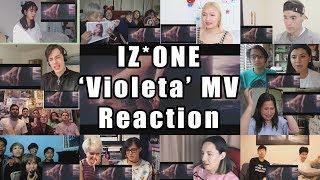 IZ*ONE 아이즈원 - 비올레타 Violeta MV Reaction Mashup