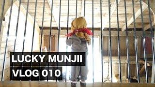 VLOG 010 An Ewok Halloween  Lucky Munjii