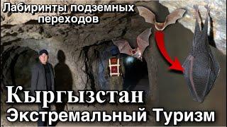 Кыргызстан. Экстремальный Туризм. Лабиринты подземных переходов. Летучая мышь.