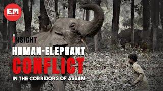 Human-Elephant Conflict in the corridors of Assam