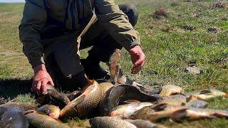 ВОТ ЭТО РЫБАЛКА БЕШЕНЫЙ КЛЁВ САЗАНА Рыбалка на донкикормушки.Рыбалка 2024