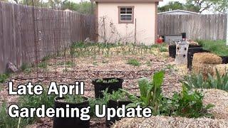 Late April Gardening Update and Tour - Lots Of Planting Going On Here.