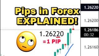 What Are Pips In Forex? Quickly EXPLAINED For Beginner Traders #shorts