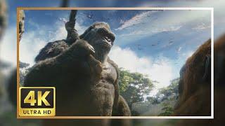 Kong 2024 Scene Pack  Godzilla X Kong The New Empire 4K Clips