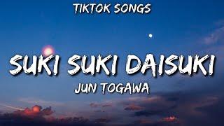 Jun Togawa - suki suki daisuki TikTok Songs Lyrics suki suki daisuki  TikTok Songs
