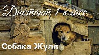 Диктант по русскому языку с проверкой 1 класс.  Собака Жуля #диктант1класс #диктант