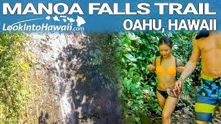 Manoa Falls Trail