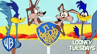 Looney Tuesdays  Coyote Will Never Give Up  Looney Tunes  WB Kids