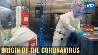 The Origin of the Coronavirus  NTDTV