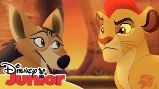 La Guardia del León Momentos Especiales - Chacales  Disney Junior Oficial