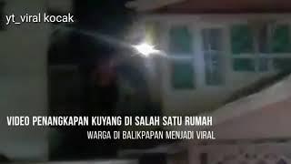 HEBOH kunyang di tangkap warga