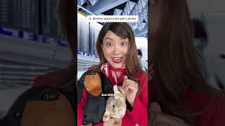 Flying with your PET made easy #tutorial